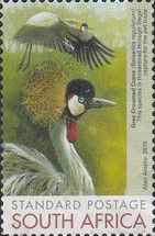 Grey Crowned Crane (Balearica regulorum)