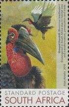Ground Hornbill (Bucorvus leadbeater)