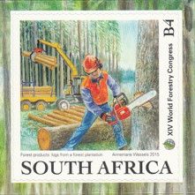 Forestry - Logs from a Forest Plantation