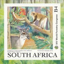 Indigenous Forest Dwellers from different South African Regi
