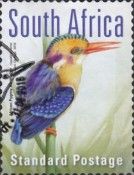 African Pygmy Kingfisher (Ispidina picta)
