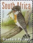Giant Kingfisher (Megaceryle maxima)