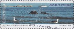 Cape West Coast -Western Cape