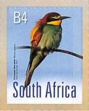 European Bee-eater (Merops apiaster)