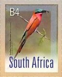 Southern Carmine Bee-Eater (Merops nubicoides)