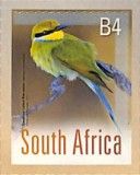 Swallow-tailed Bee-eater (Merops hirundineus)