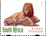Lion (Panthera leo)