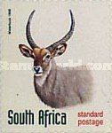 Waterbuck (Kobus ellipsiprymnus)
