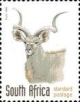 Greater Kudu (Tragelaphus strepsiceros)