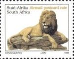 Lion (Panthera leo)