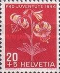 Common Turk's Cap Lily (Lilium martagon)