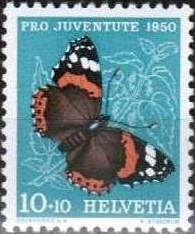 Red Admiral (Vanessa atalanta)