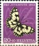 Marbled White (Agapetes galathea)