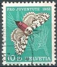Black Arches (Lymantria monacha)