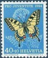 Swallowtail (Papilio machaon)