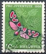 Crepuscular Burnet (Zygaena carniolica)