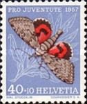 Red Underwing (Catocala nupta)