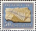 Fossil of Asterotheca