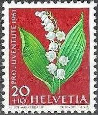 Lily-of-the-valley (Convallaria majalis)