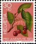 Sweet Cherry