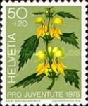 Yellow Archangel (Lamium galeobdolon)