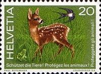 Roe Deer Fawn, Frog & Swallow