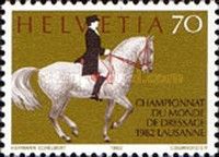 Dressage rider