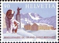 Mountain Hostel & Saint Bernard Dog