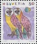 Barn Owl (Tyto alba)