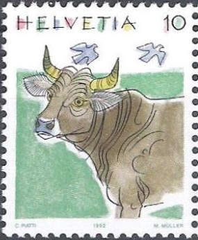 Cattle (Bos primigenius taurus)