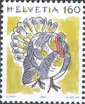 Domesticated Turkey (Meleagris gallopavo)