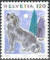 Dog (Canis lupus familiaris)