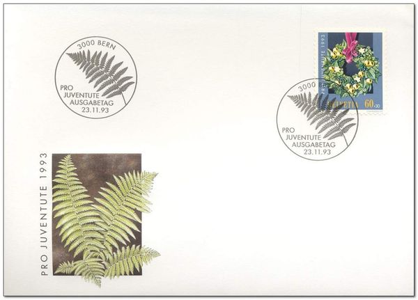 Fern (Dryopteris filix-mas)