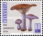 Wood Blewit (Lepista/Clitocybe nuda)