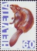 European Beaver (Castor fiber)