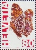 Map Butterfly (Araschnia levana)