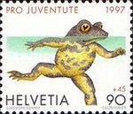 Yellow-bellied Toad (Bombina variegata)