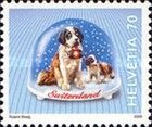 Saint Bernard Dog (Canis lupus familiaris)