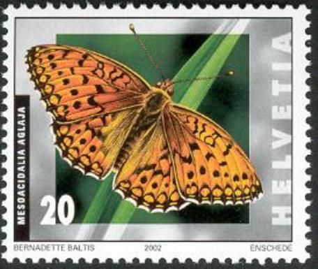 Dark Green Fritillary (Mesoacidalia aglaja)