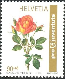 Rose "Belle vaudoise"