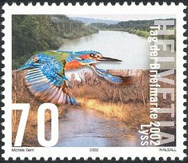 Common Kingfisher (Alcedo atthis) & Au landscape