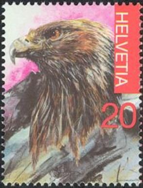 Golden Eagle (Aquila chrysaetos)