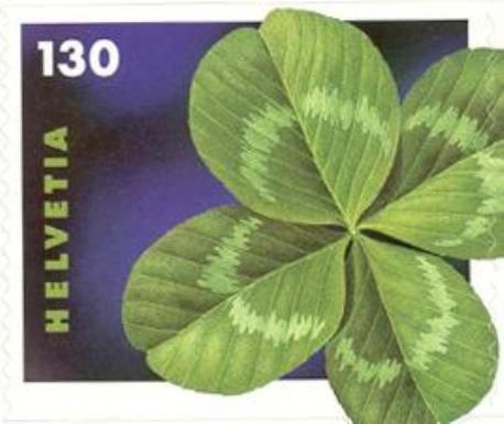 Lucky Clover (Oxalis tetraphylla syn. deppei)