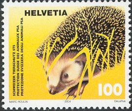 West European Hedgehog (Erinaceus europaeus)