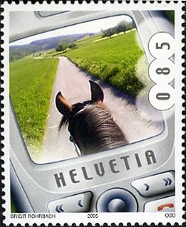 Horse’s Head