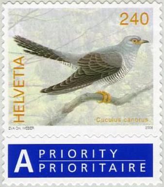 Common Cuckoo (Cuculus canorus)