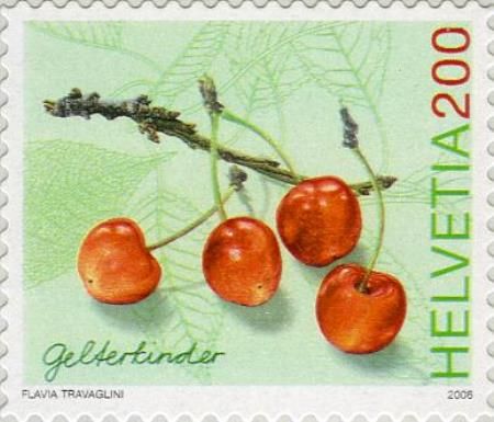 Gelterkinder Cherries