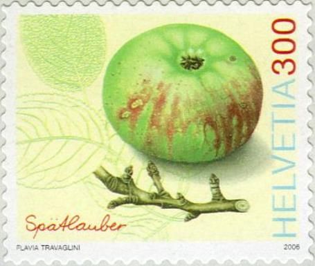 Spätlauber Apple