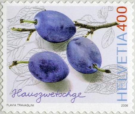 Hauszwetschge Plums