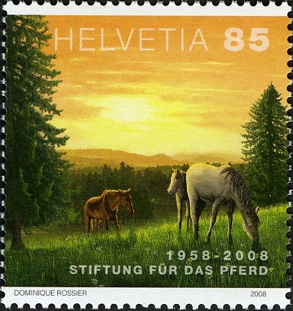 Horses (Equus ferus caballus)